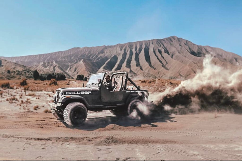 Mt. Bromo 11