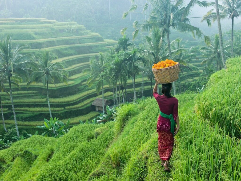 Visitors exploring Tegalalang Rice Terraces in Ubud